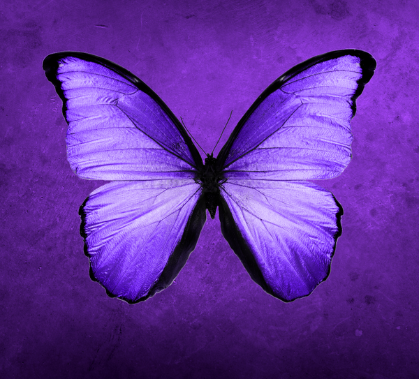 Twisted Peach Cosmetics 